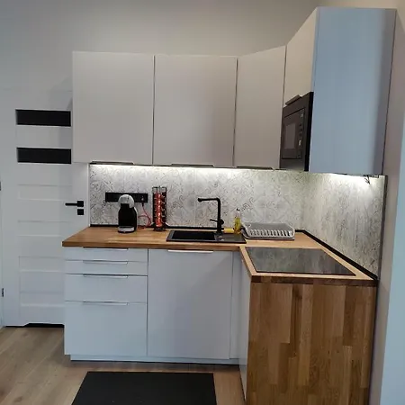 公寓 Apartament Szczecin